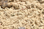 230721A-101619-05060