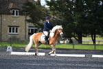 WJ5_8842