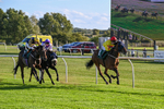 300926-Race 5-Vince Le Prince-6747