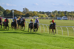 300926-Race 5-Vince Le Prince-6725