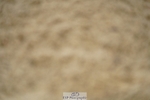 240309-113422-00400