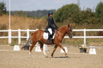 SBM_013739