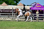 SBM_19504
