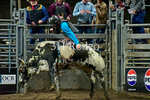 _DSC1396