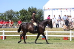 3E7A7963