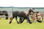 SBM_00394