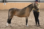 SIAL0349