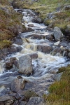 Leacklea Stream 1