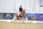 SBM_020738