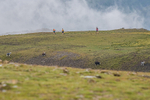 Rydal Round-341