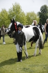 Class 12 - Best Child Handler portfolio