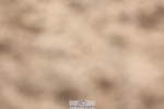 250629-172402-13705