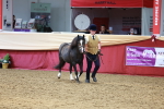 SBM_17367