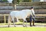 SBM_15937