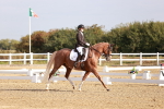 SBM_016854