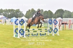 BPP_3313