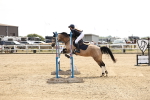 SBM_001675
