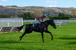 241025-Race 1-Stoners Choice-2119