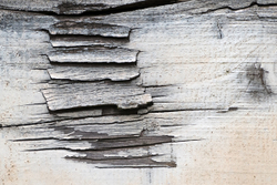 Paint and Rust at Sharpness Docks portfolio