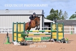 BPP_6529