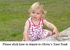 Olivias Trust Fund