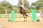 SBM_004997
