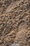 231028A-101918-00376
