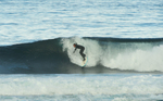 DSC_5536