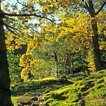 Cumbrian path