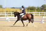 SBM_008381