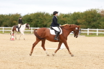 SBM_001357