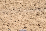 230906A-130048-00394
