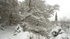 Redhill - St John's in the snow