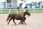 SBM_05951