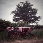 Tractor by the Tree