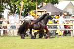 SBM_08537