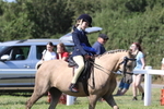 JPP_2012