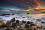 z1773 Sweeping Waves, Orchard Bay