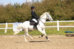 Class 3 - 60cm portfolio