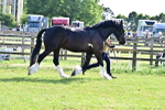 SBM_10185