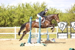 SBM_002633