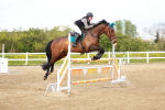 Class 5 - Senior Foxhunter - 1.20m portfolio