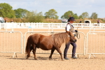 SBM_10967