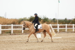 SBM_000616