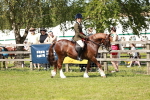 SBM_08460