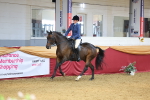 SBM_23537