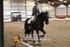 BPP_8697