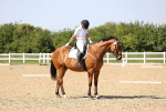 SBM_010233