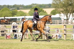 SBM_17972