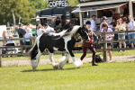 SBM_05497